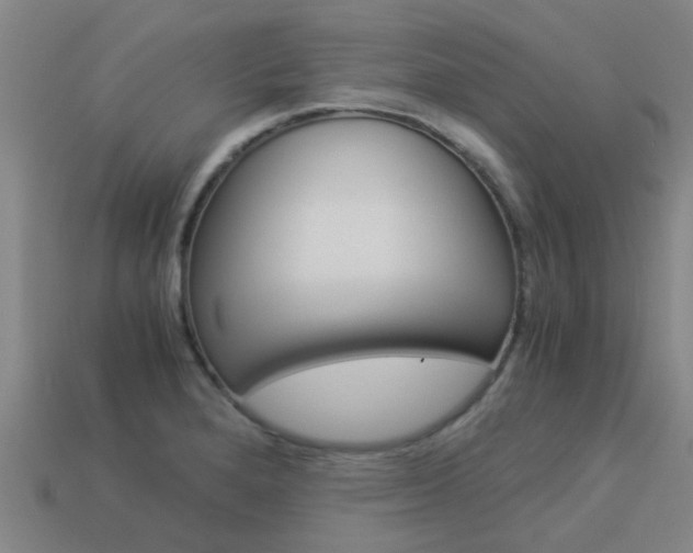 X0000113991280200910021002