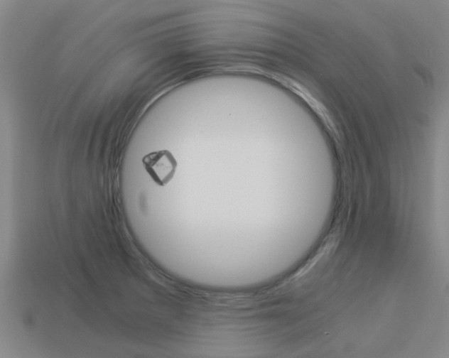 X0000113991281200910021002