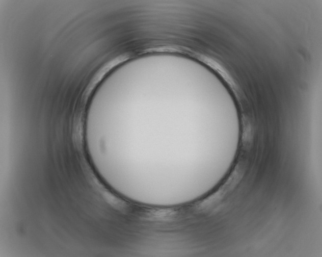 X0000113991282200910021002