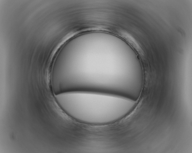 X0000113991284200910021002