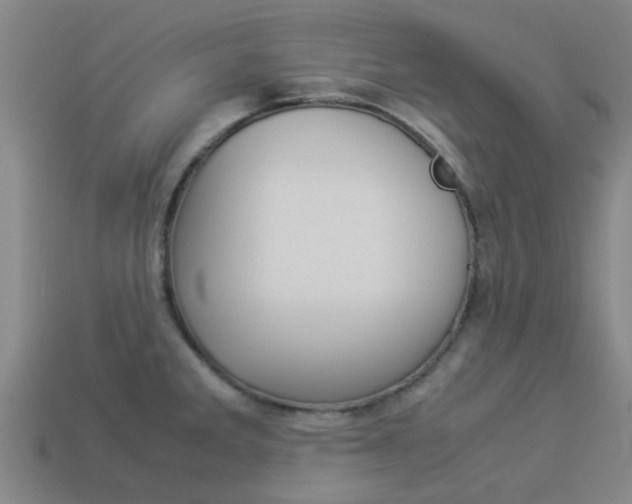 X0000113991285200910021002