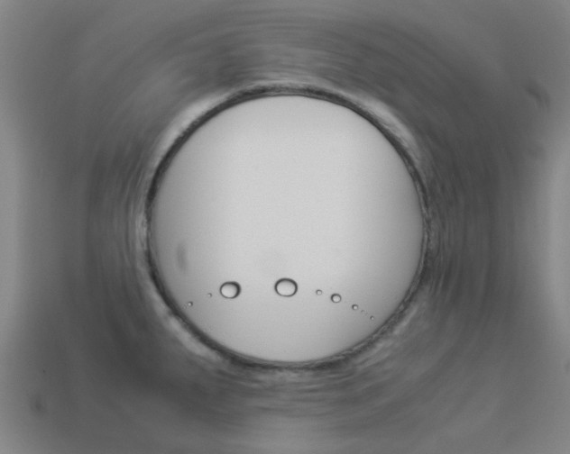 X0000113991287200910021002