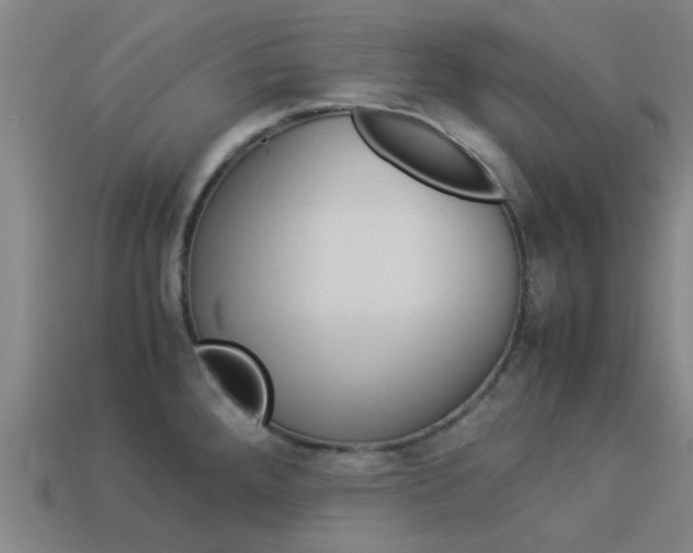 X0000113991288200910021002