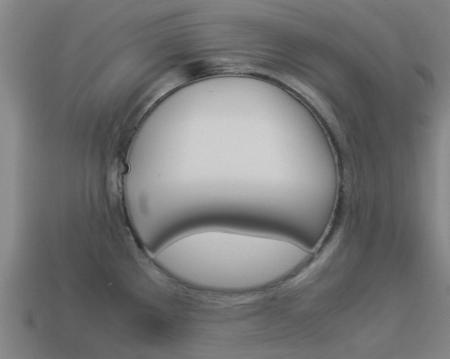 X0000113991289200910021002