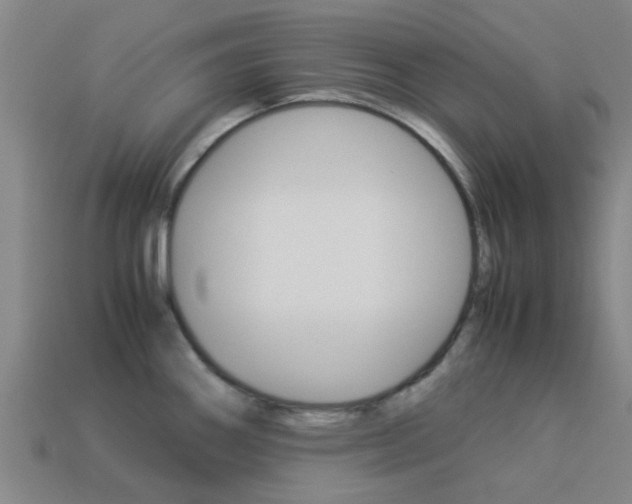 X0000113991290200910021002