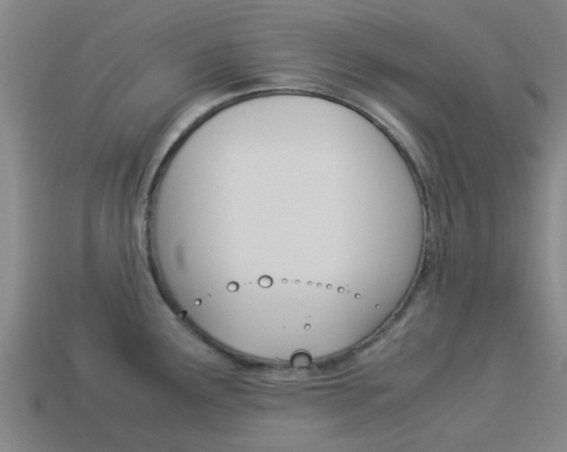 X0000113991291200910021002