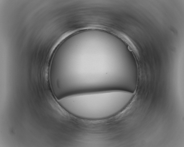 X0000113991292200910021002