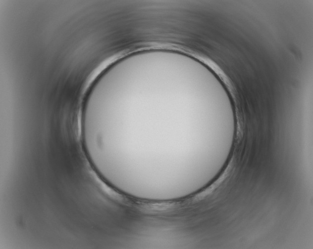 X0000113991294200910021002