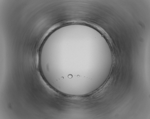 X0000113991295200910021002