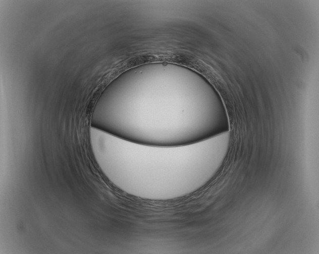 X0000113991298200910021001