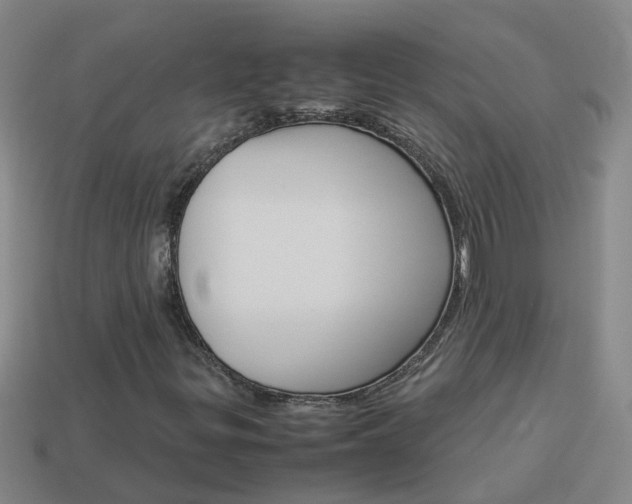 X0000113991299200910021001