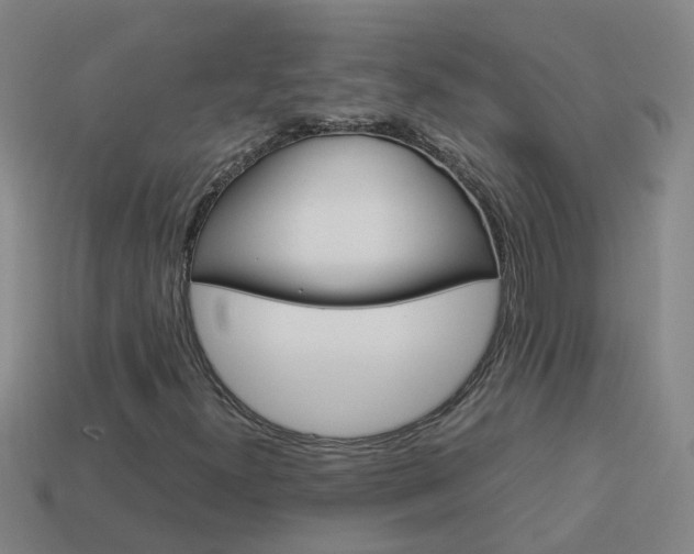 X0000113991300200910021001