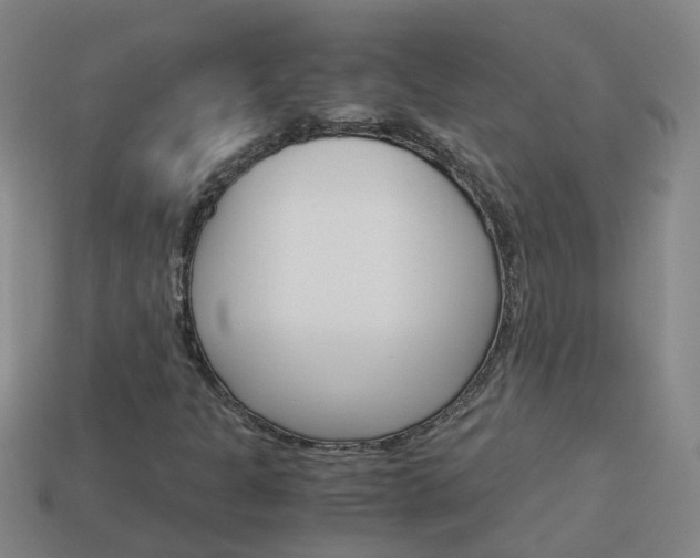 X0000113991301200910021001