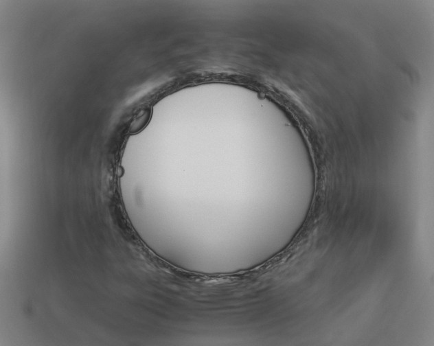 X0000113991303200910021001