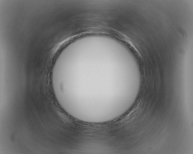 X0000113991304200910021002