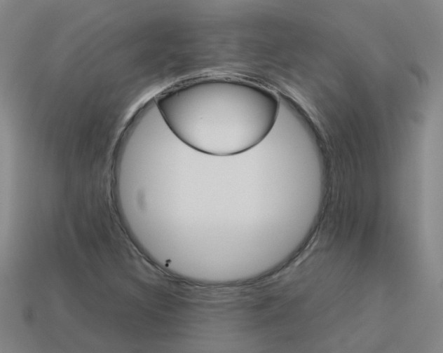 X0000113991308200910021002