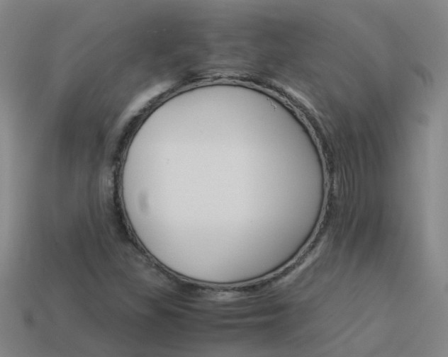 X0000113991309200910021002