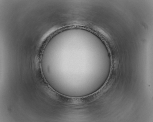 X0000113991310200910021002