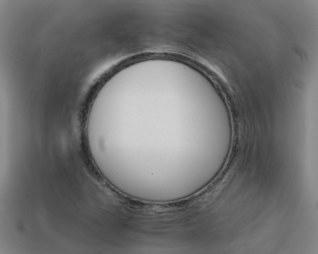 X0000113991311200910021002