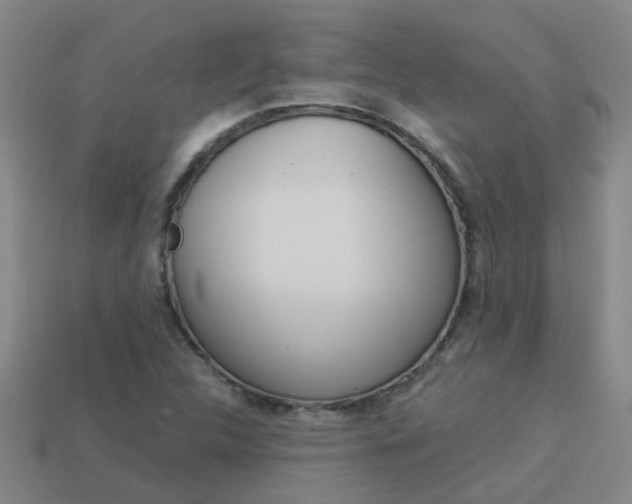 X0000113991312200910021002
