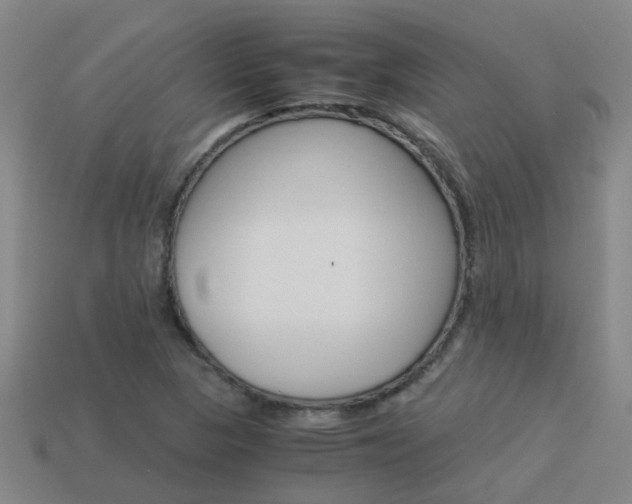 X0000113991313200910021002
