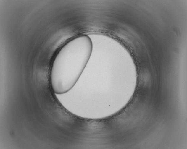 X0000113991314200910021002