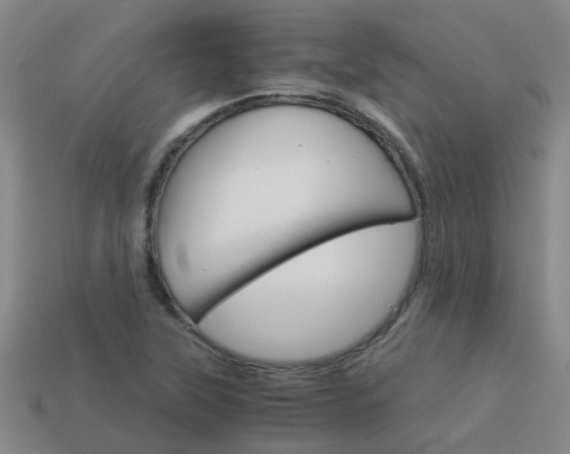 X0000113991315200910021002