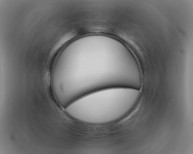 X0000113991317200910021002
