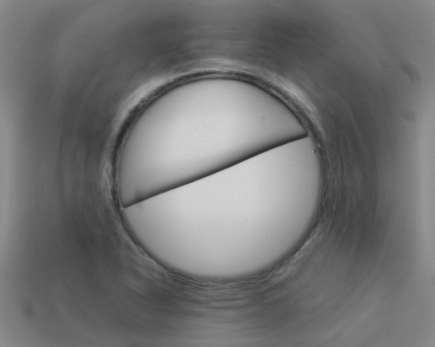 X0000113991318200910021002