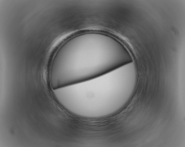 X0000113991319200910021002