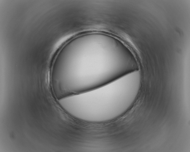 X0000113991320200910021002