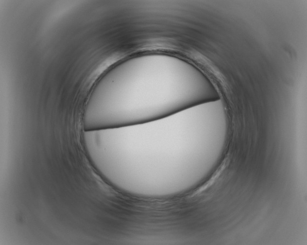 X0000113991321200910021002