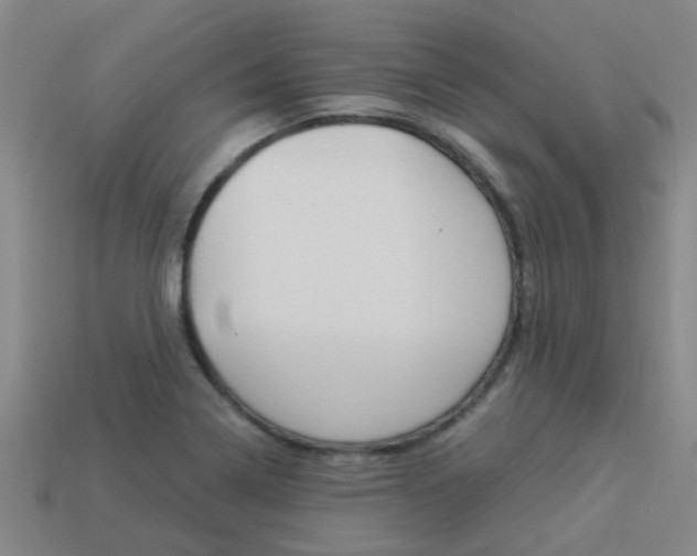 X0000113991322200910021002
