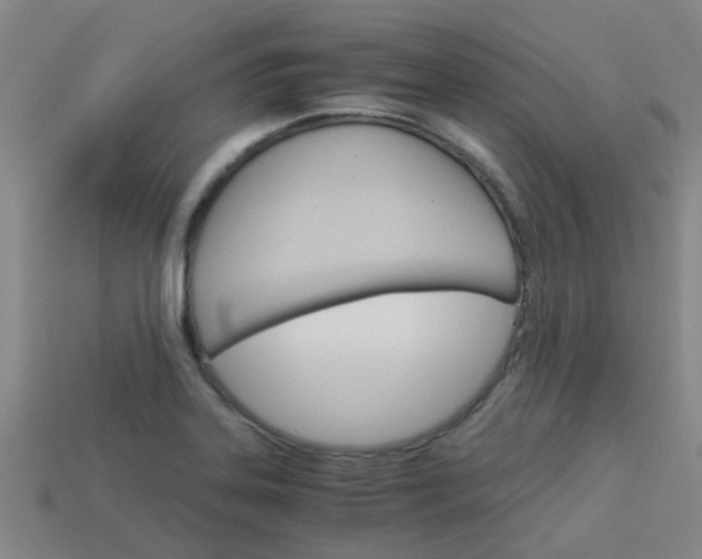 X0000113991323200910021002