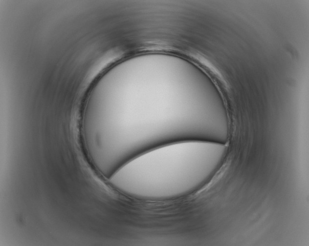 X0000113991325200910021002