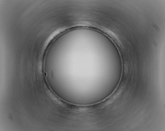 X0000113991326200910021002
