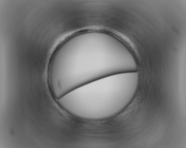 X0000113991327200910021002