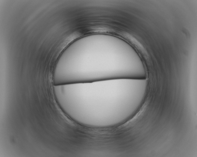 X0000113991329200910021002