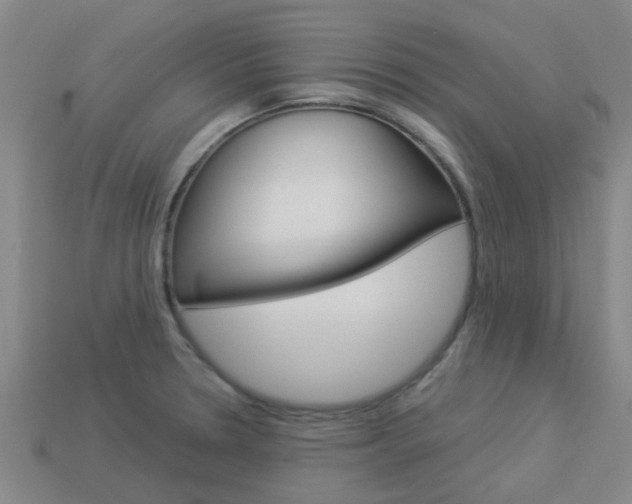 X0000113991330200910021002