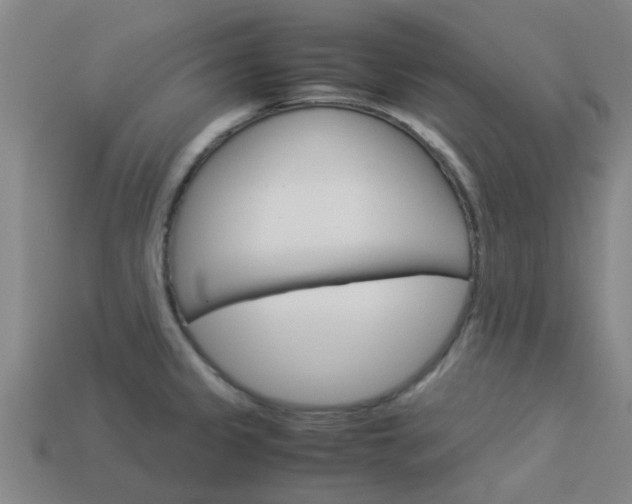 X0000113991333200910021002