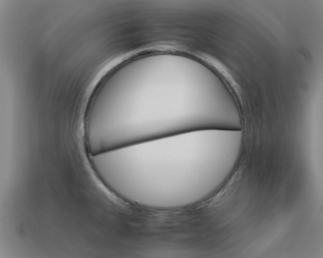 X0000113991335200910021002