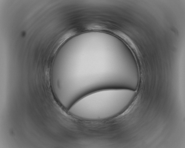X0000113991337200910021002