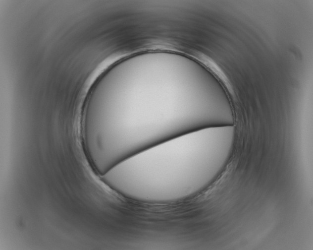 X0000113991339200910021002