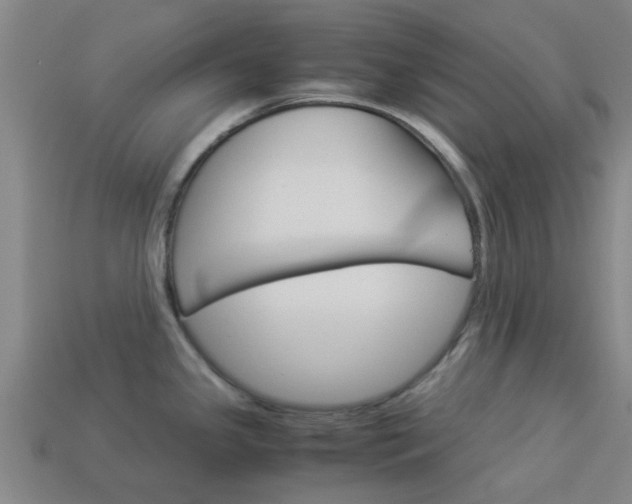 X0000113991341200910021002
