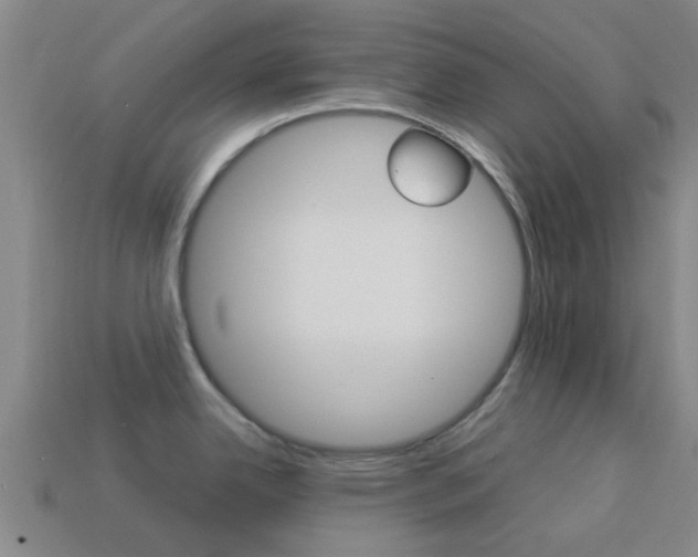 X0000113991342200910021002