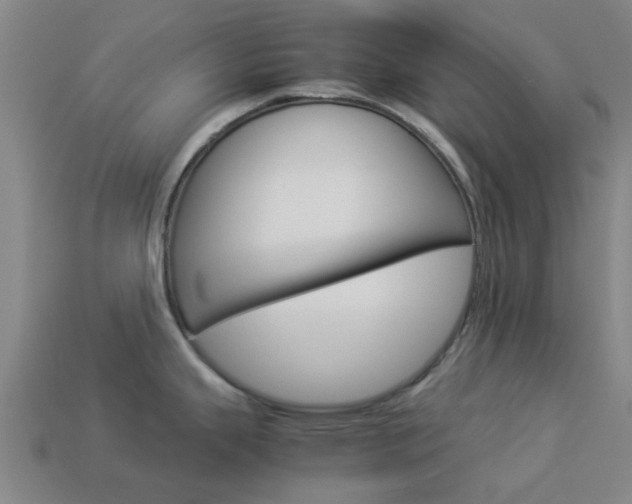X0000113991343200910021002
