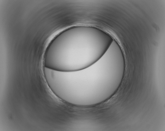 X0000113991344200910021002