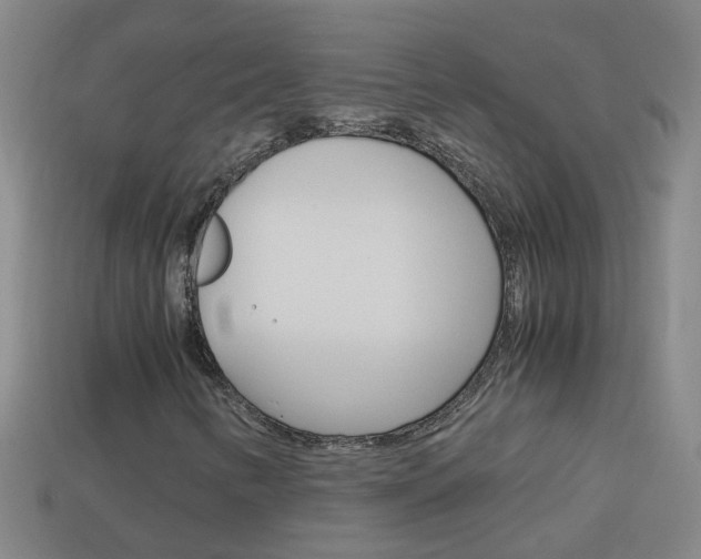X0000113991346200910021001