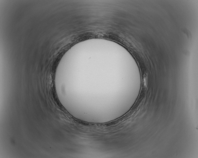 X0000113991347200910021001