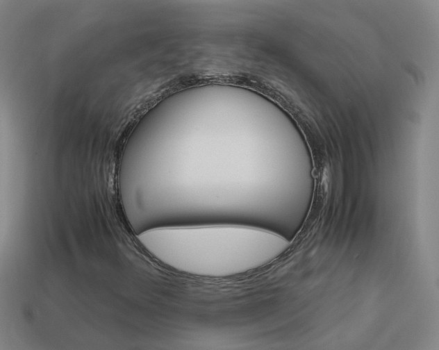X0000113991348200910021001